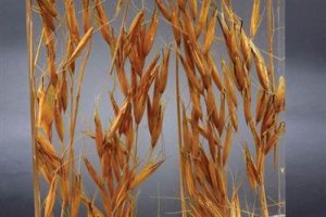 什么是亚克力质料？？？？亚克力质料的优点是什么？？？？