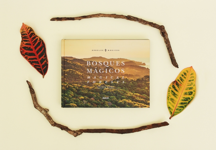 差别印刷工艺和流程的企业宣传画册印刷报价有何差别