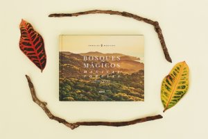 广告手册的印刷应该怎样举行环保和可一连性治理