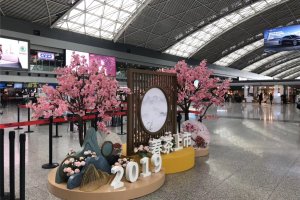 成都机场春茶上市活动策划执行