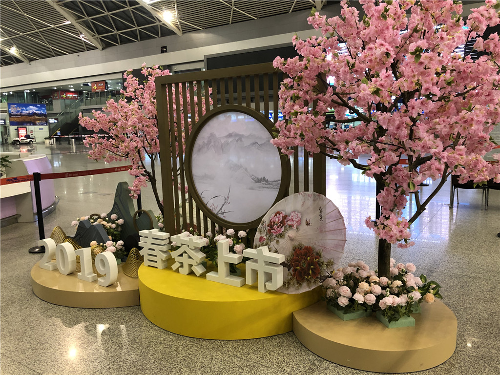 成都机场春茶上市活动策划执行 (11)